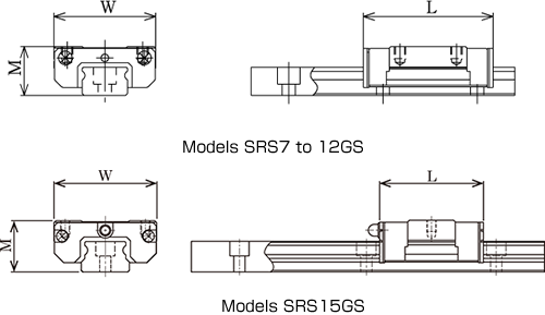 SRS-GS